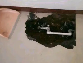 南川卫生间测漏水多少钱